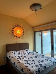 Whitley Road (D11), Terrace #529357181